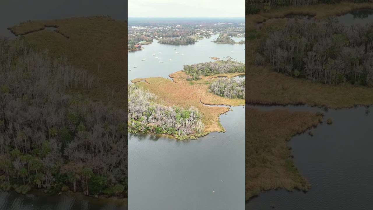🇺🇲 Crystal river 🇺🇲#crystalriver #crystalriverflorida #nationalpark #manatee  #fly #dji #djiair3