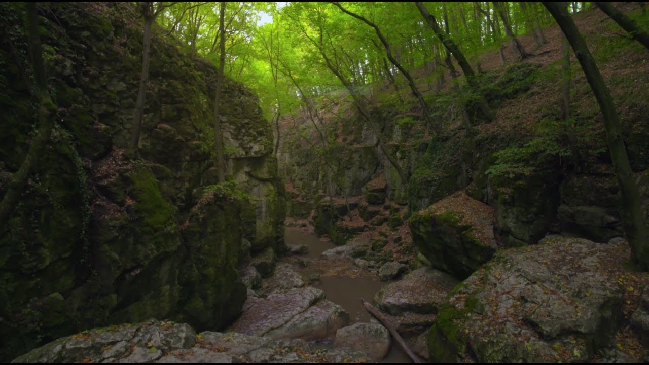 A Bakony szikláin, hegymászás mindenkinek