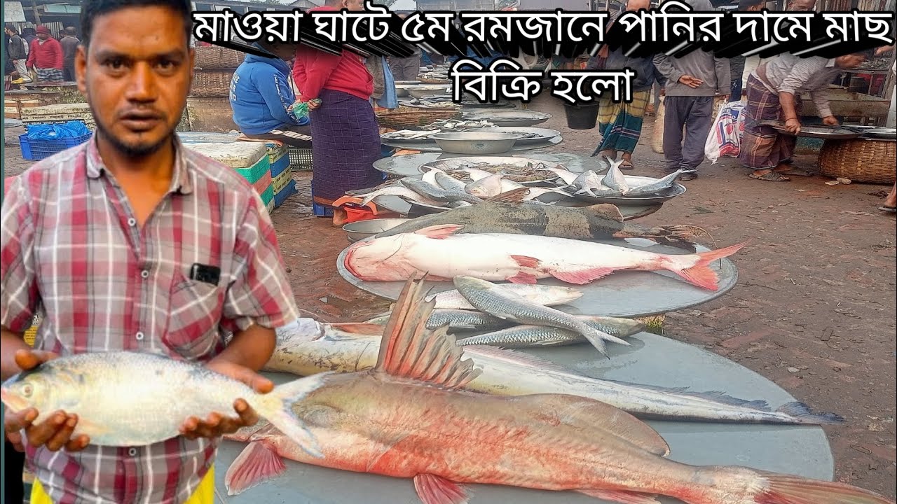 মাওয়া আড়ৎতে রোজার জন্য কাস্টমার কম তাই মাছের একদম সস্তা