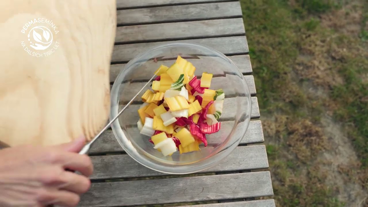 Skl&iacute;zejte celoročně barevn&yacute; mangold Bright Lights