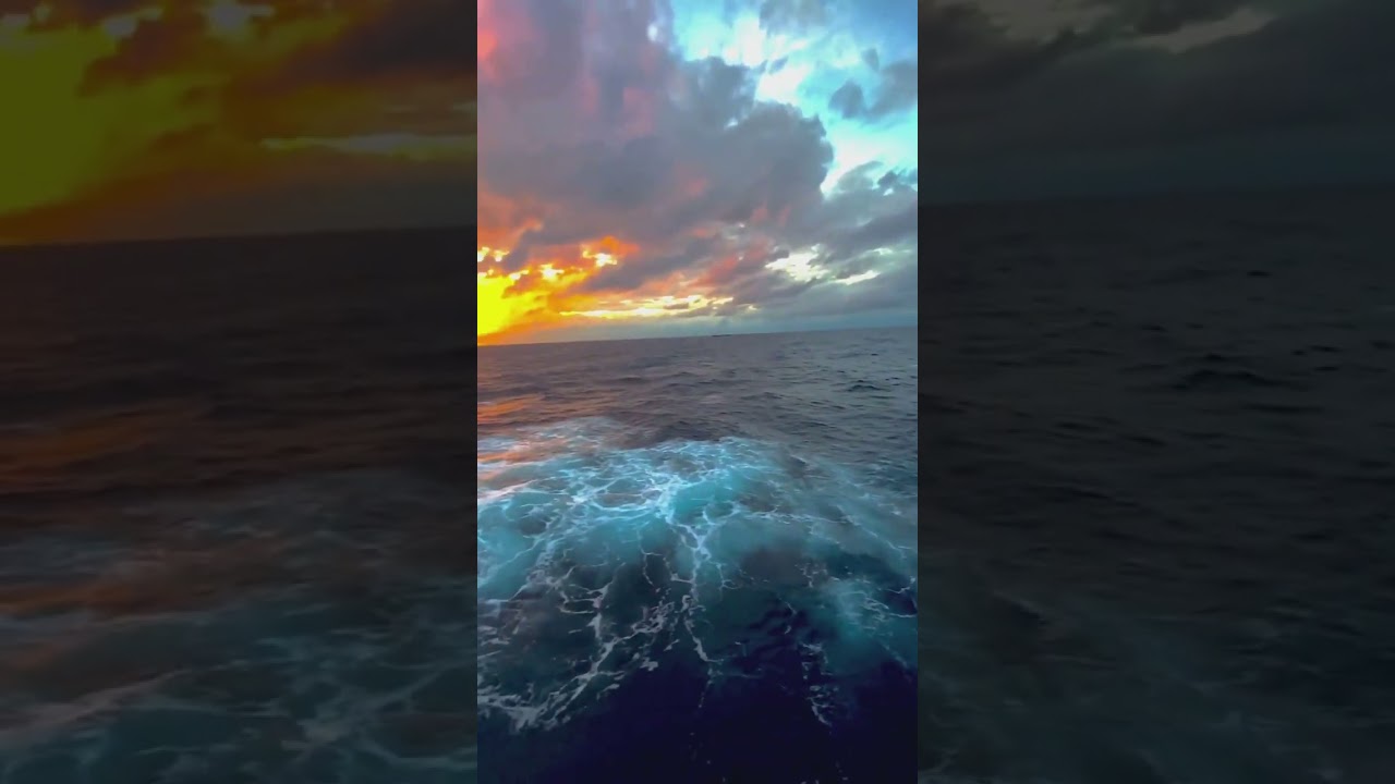 LIFE AT SEA #shorts #lifeatsea