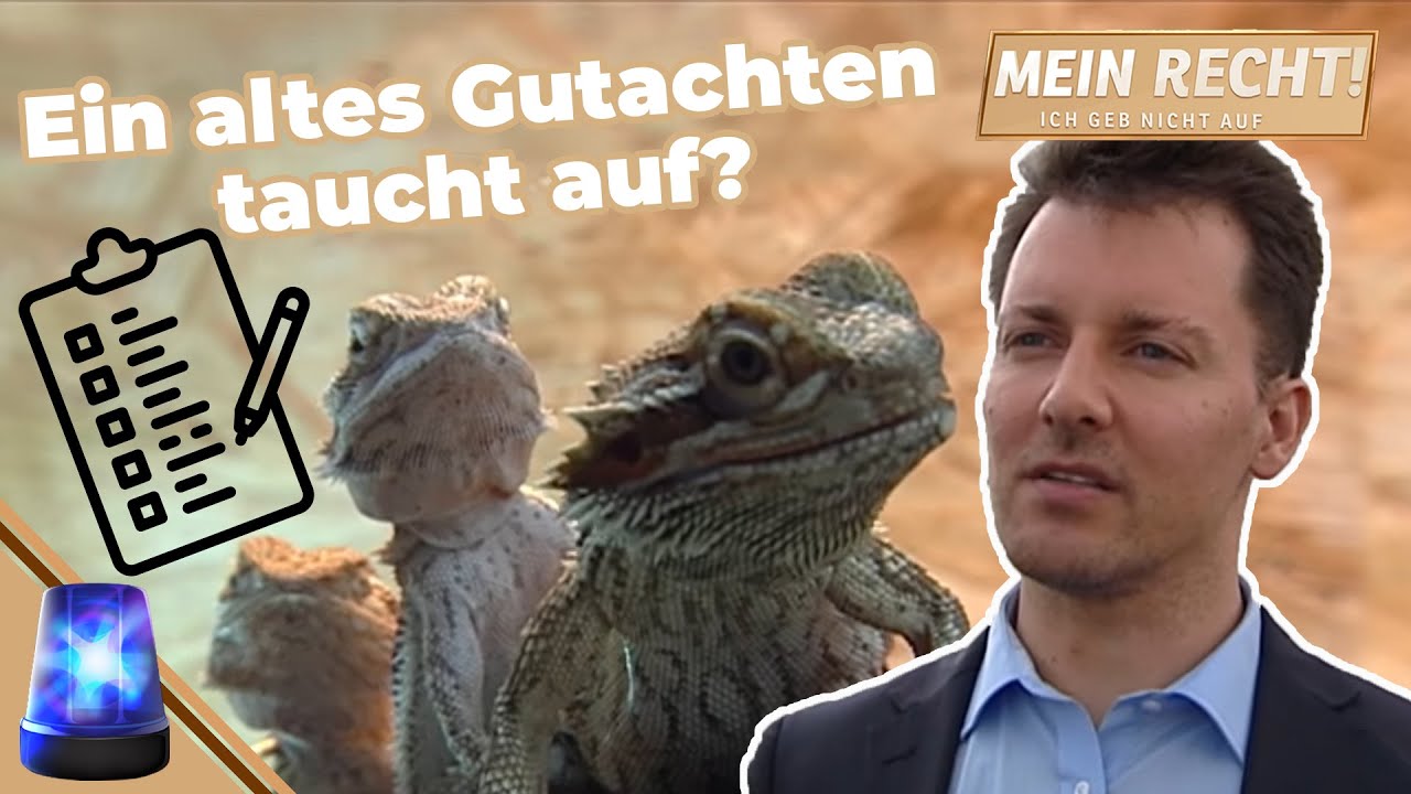 Strichliste für Beleidigungen?📝 MIETSTREIT UM ZOOHANDLUNG 🦎💥 | Mein Recht! Ich geb nicht auf | ATV