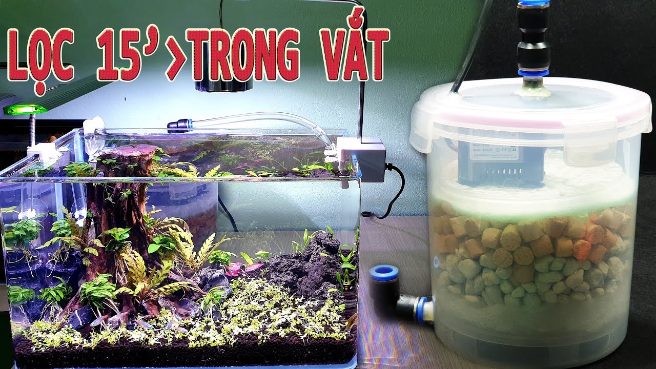 Chế Lọc Thùng cho Bể Thủy Sinh với Hộp Đựng Thực Phẩm - Bể v5 KST