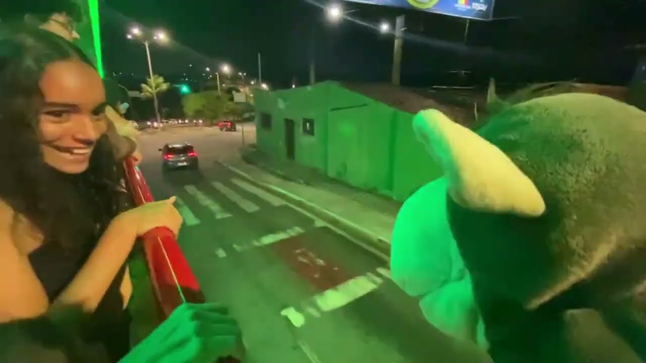 ENCONTRO DE GIGANTES NA ARVORE DE MIRASSOL