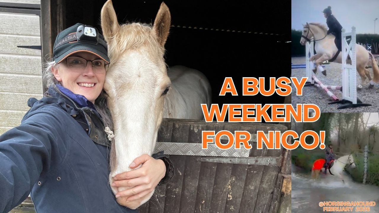 Busy weekend for Nico!