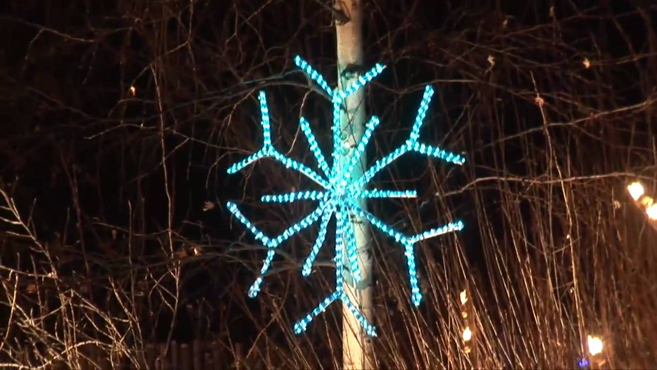 Zoo Lights Calgary
