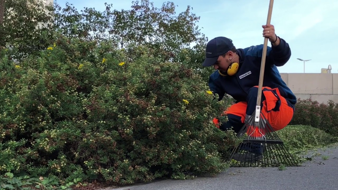 5 Herbst Gartentipp Bodendecker schneiden