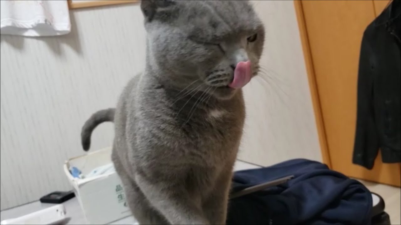 もみ祭り～♪  もみもみまっつぅり～♪