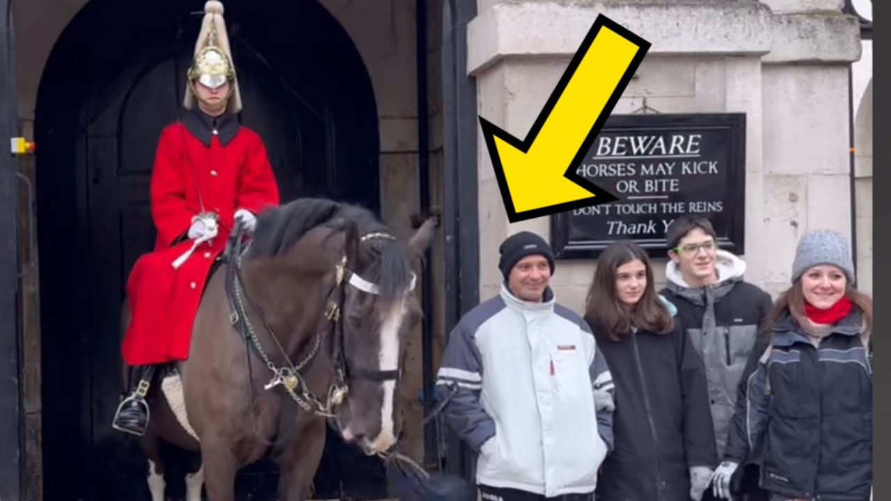 King’s guard UNEXPECTED this act of this idiot tourist!!!