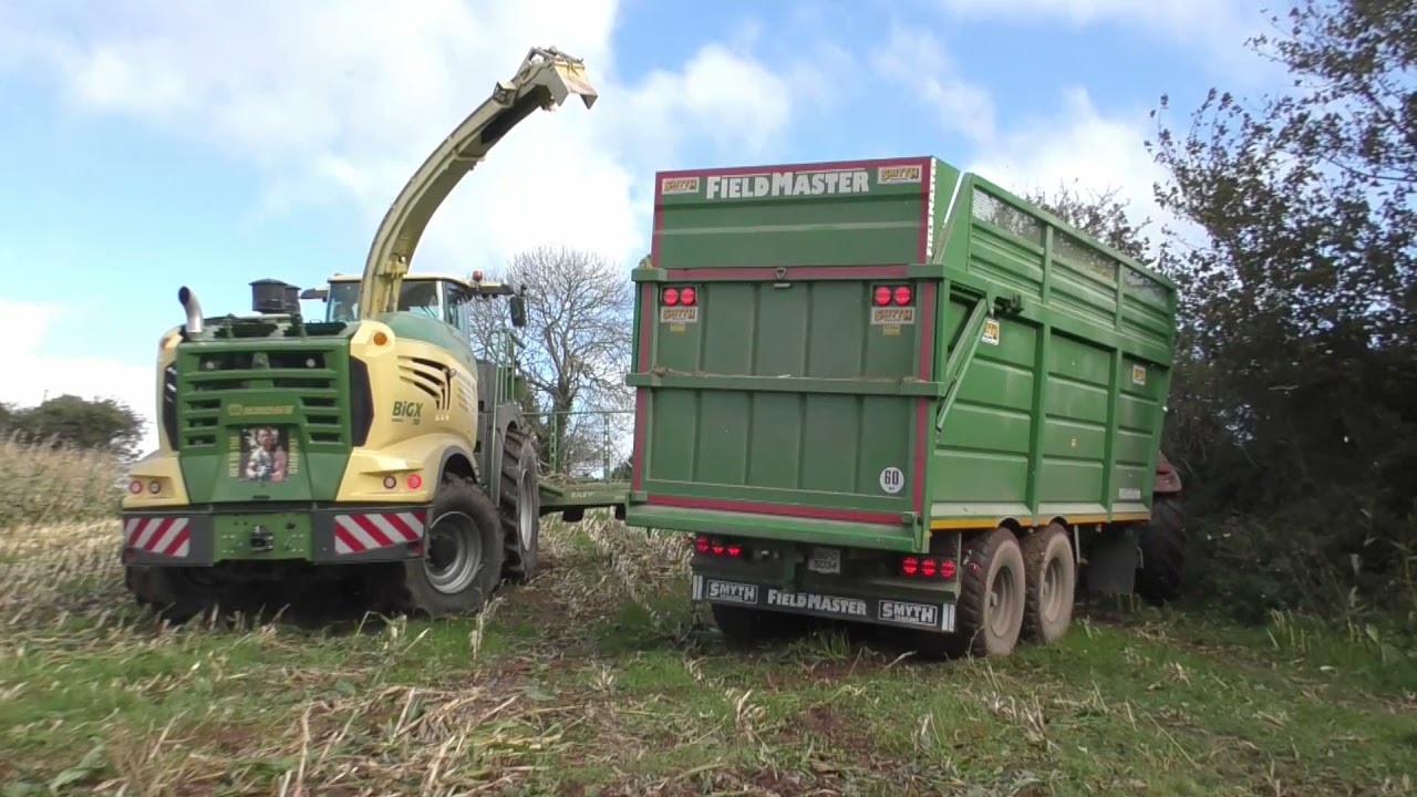 Maize 2020 Krone Big X 780 Demo
