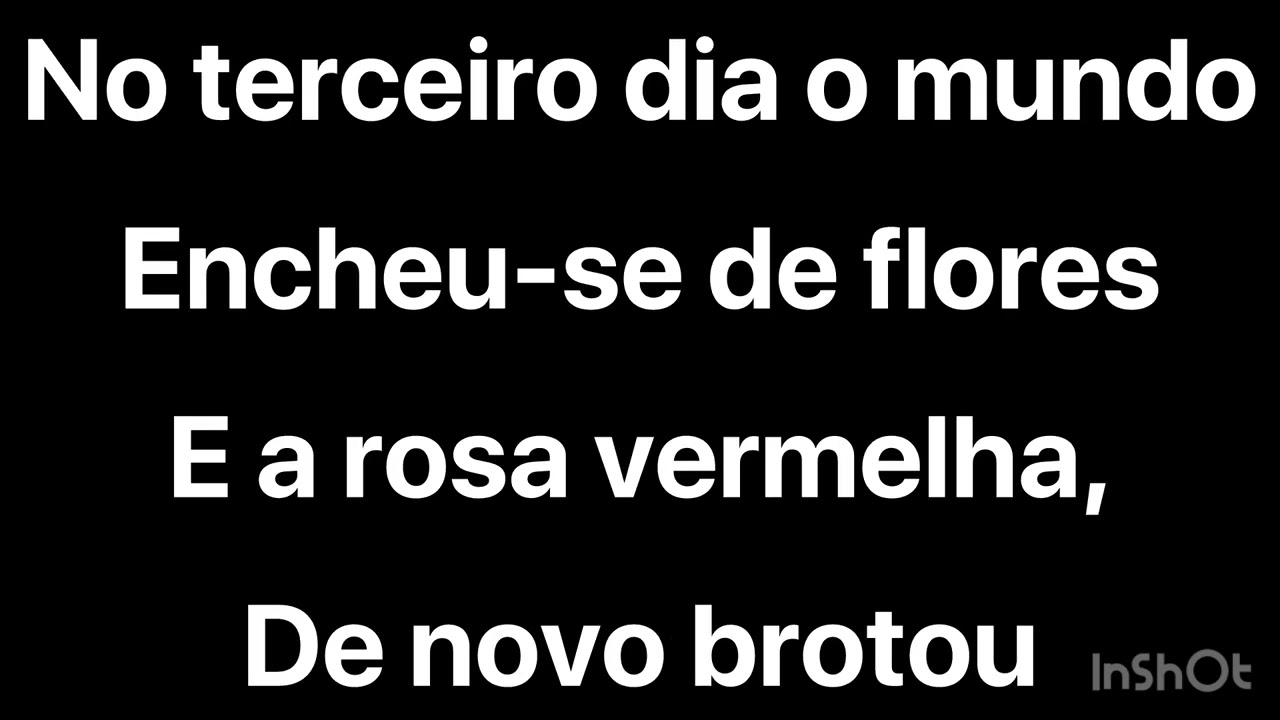 ROSA VERMELHA - MARA LIMA (PLAYBACK COM LETRAS GRANDES)