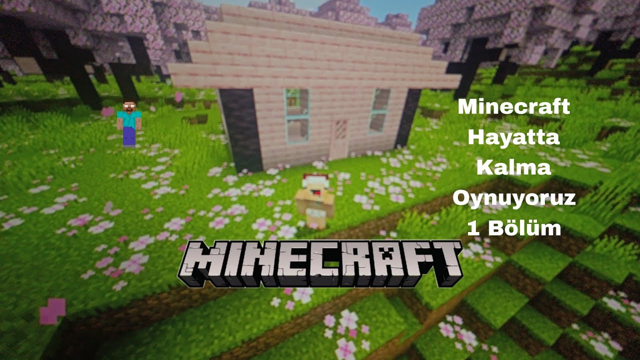 MİNECRAFT HAYATTA KALMA OYNUYORUZ 1 BÖLÜM (PEMBE EV YAPTIK)