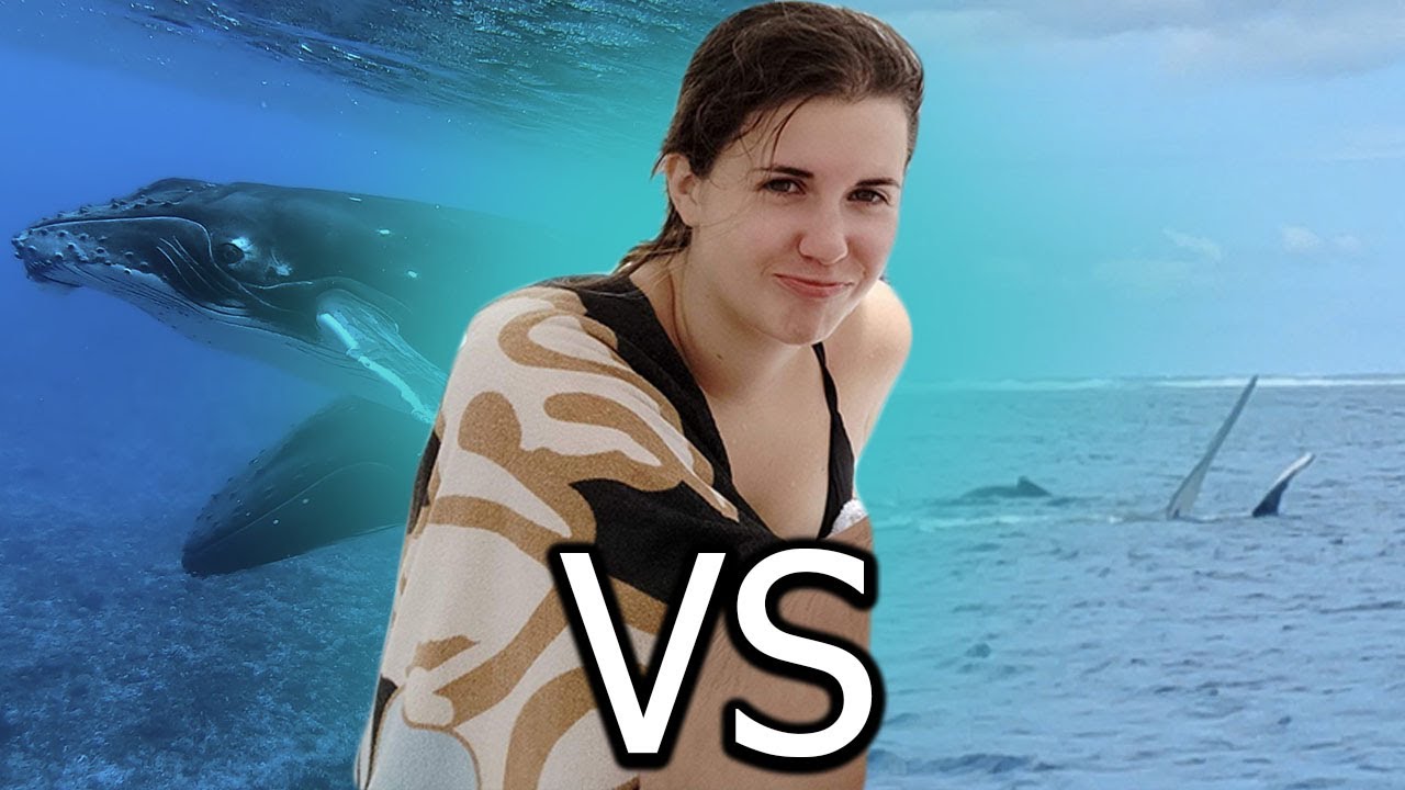 Une sortie en mer qui fini en VOMI ! ~ VLOG TAHITI 2