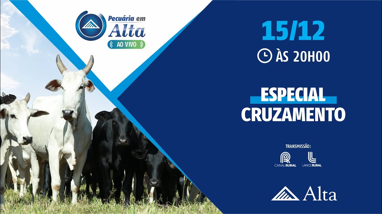 Pecuária em Alta Especial Cruzamento Industrial