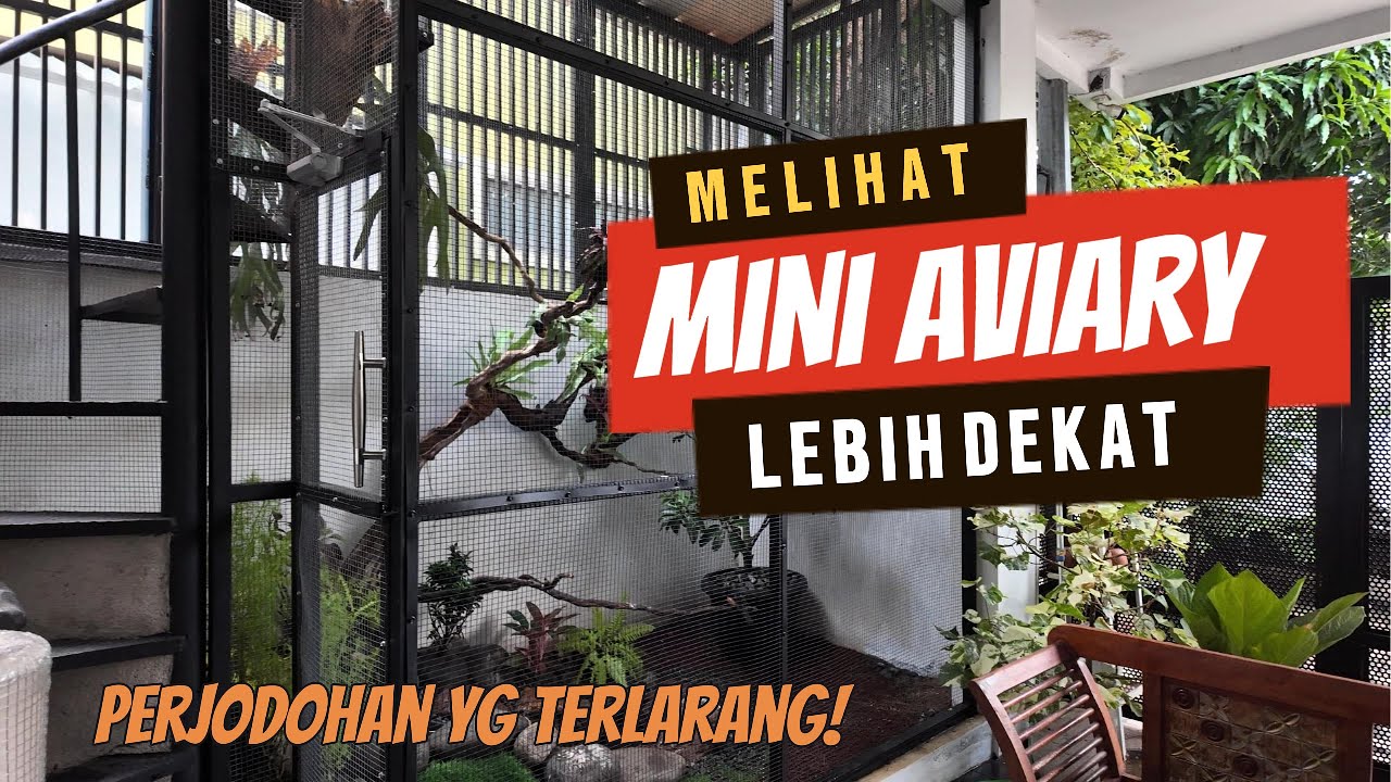 Review Mini Aviary 