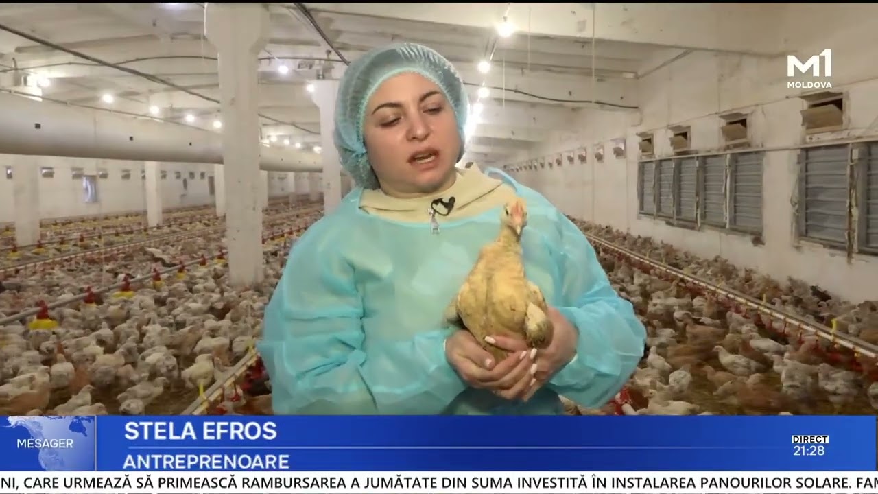 Antreprenoarea care crește sute de mii de păsări: A început cu o mică hală în satul de baștină