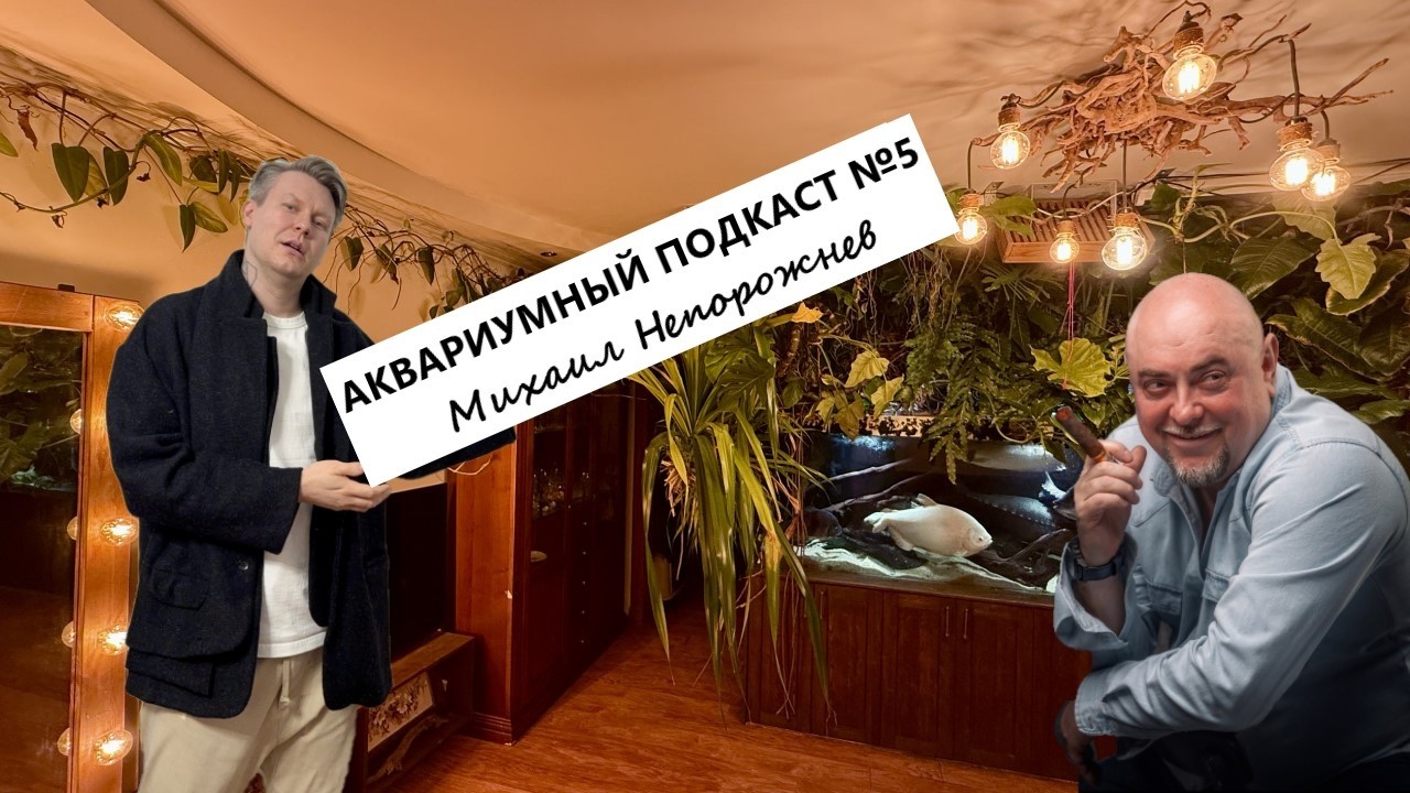 Аквариумный подкаст №5 - Михаил Непорожнев