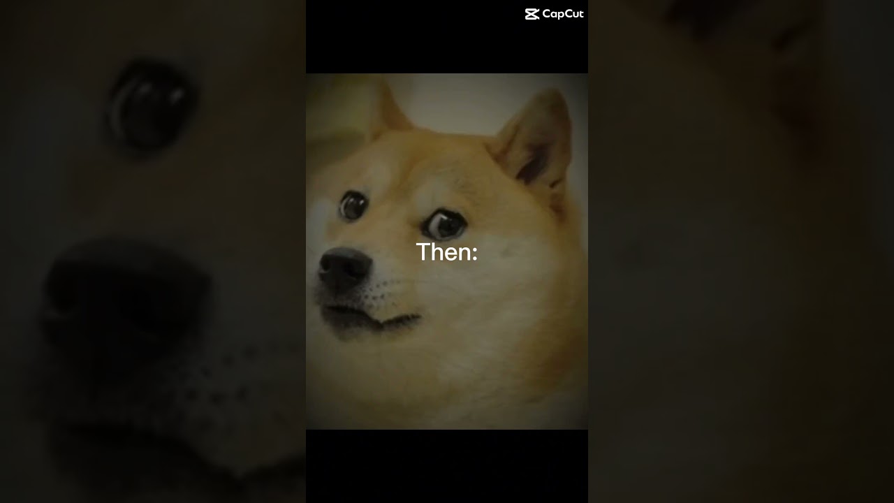 2026 MEME RESET #memes #2026