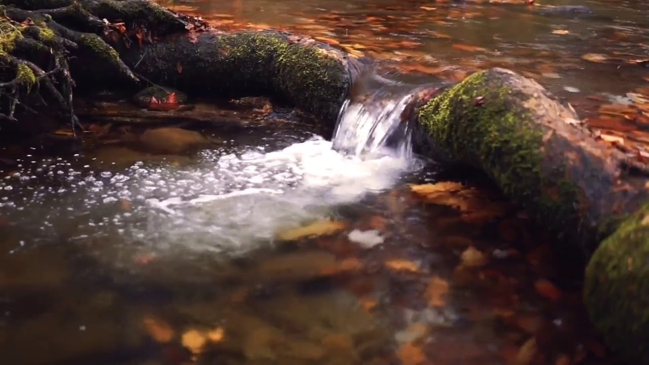 Flowing Creek Video Background