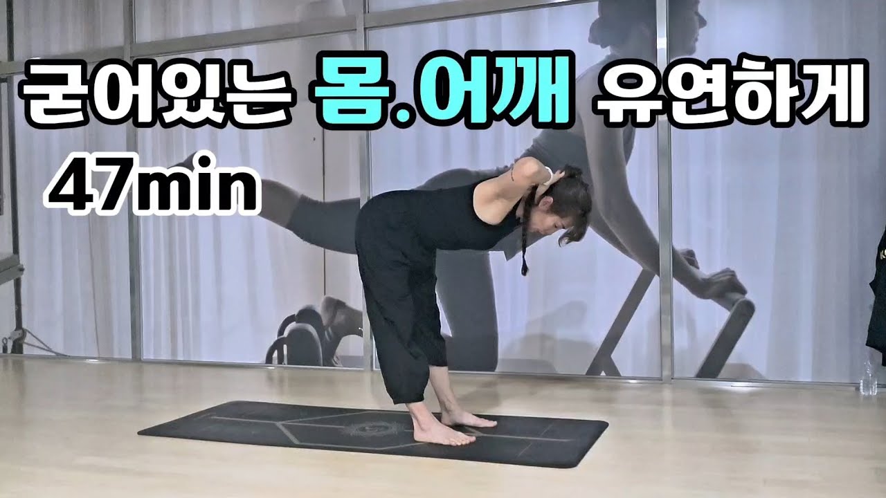 아네샤 요가(#43) 시니어.초보.중년.누구나가능/47min#yoga#yogasequence #시니어요가#수정요가#시니어건강운동#요가#요가시퀀스