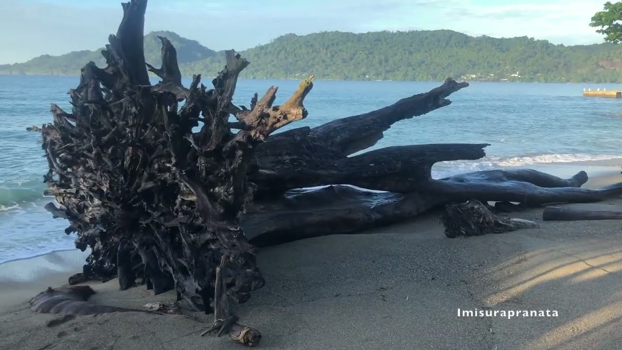 AMBON, The city of Music in 7 minutes | Travel Vlog #1