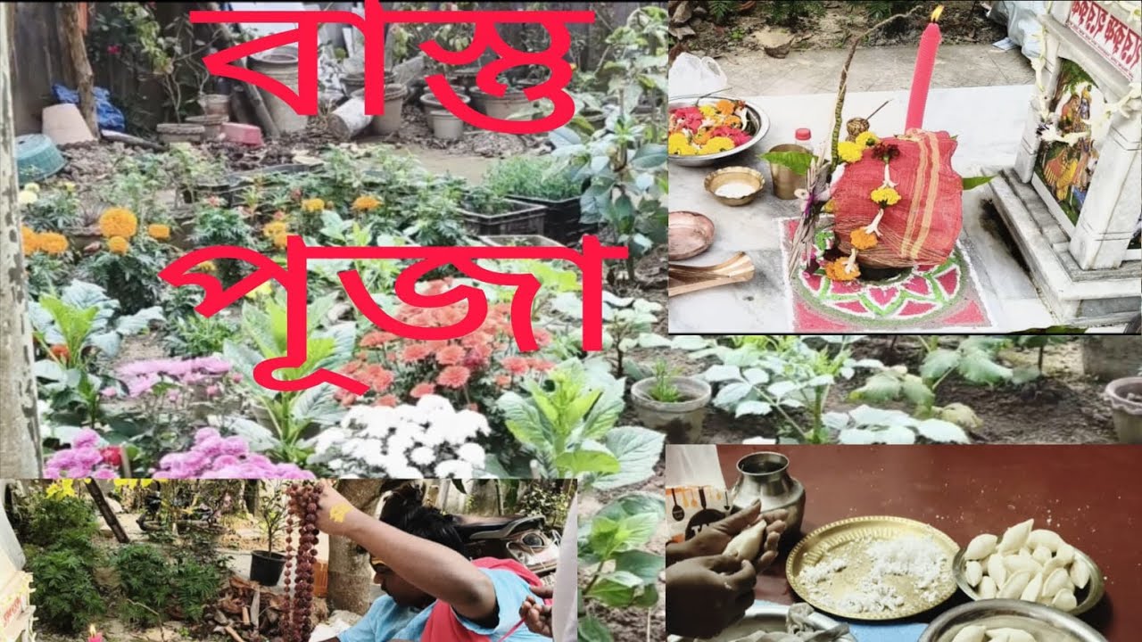 উত্তরায়ণ সংক্রান্তির দিন বাস্তু পূজা। এই পূজা বিধির অনেক গুনা গুণ।😀🙏 daily vlog 