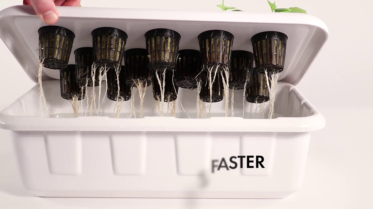 SuperCloset Smart SuperLocker Stealth Grow Cabinet