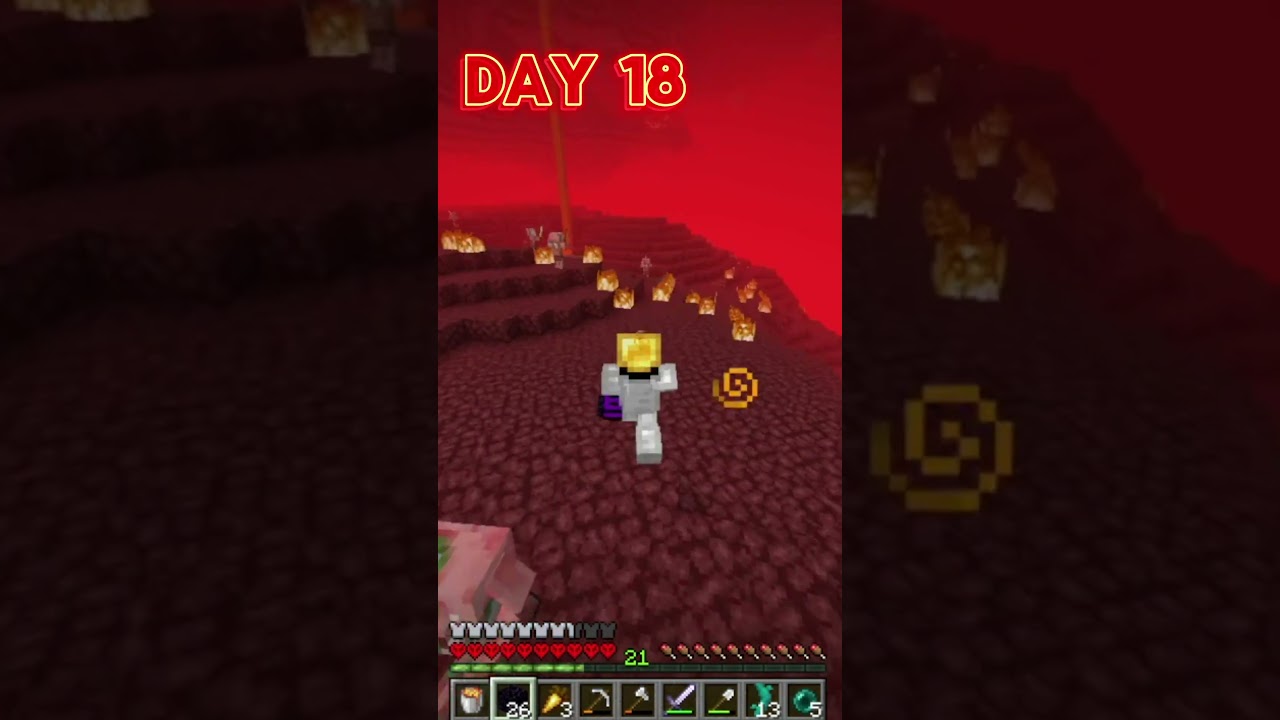 Nether World: Grand Finale - Day 18 #minecraft #survival