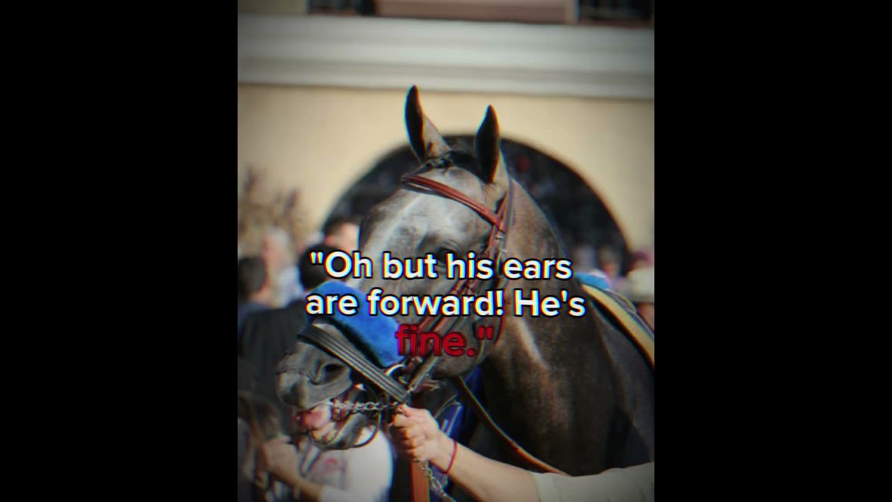 Ears forward doesn't always mean it's fine... #horse #cruel #equestrian #abuse #sad #stophorseabuse