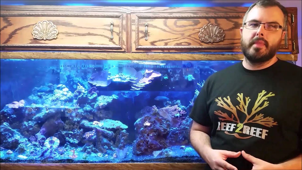 Video Review: SURF4 Algae Turf Scrubber by Santa Monica Filtration