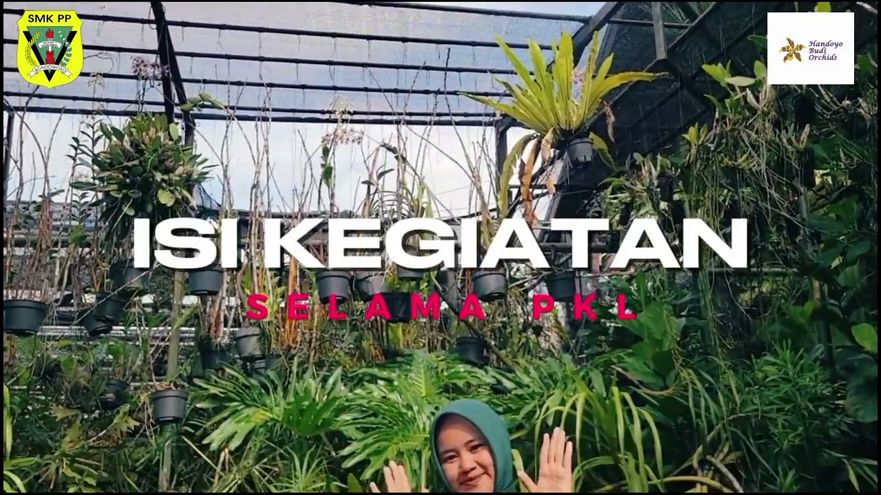 Dokumentasi selama melaksanakan kegiatan PKL di CV HANDOYO BUDI ORCHID #smkppn1tegalampel