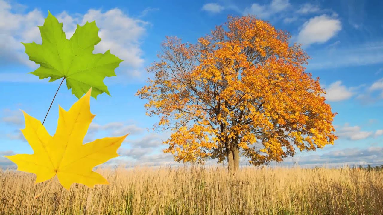 Autumn Is Here!