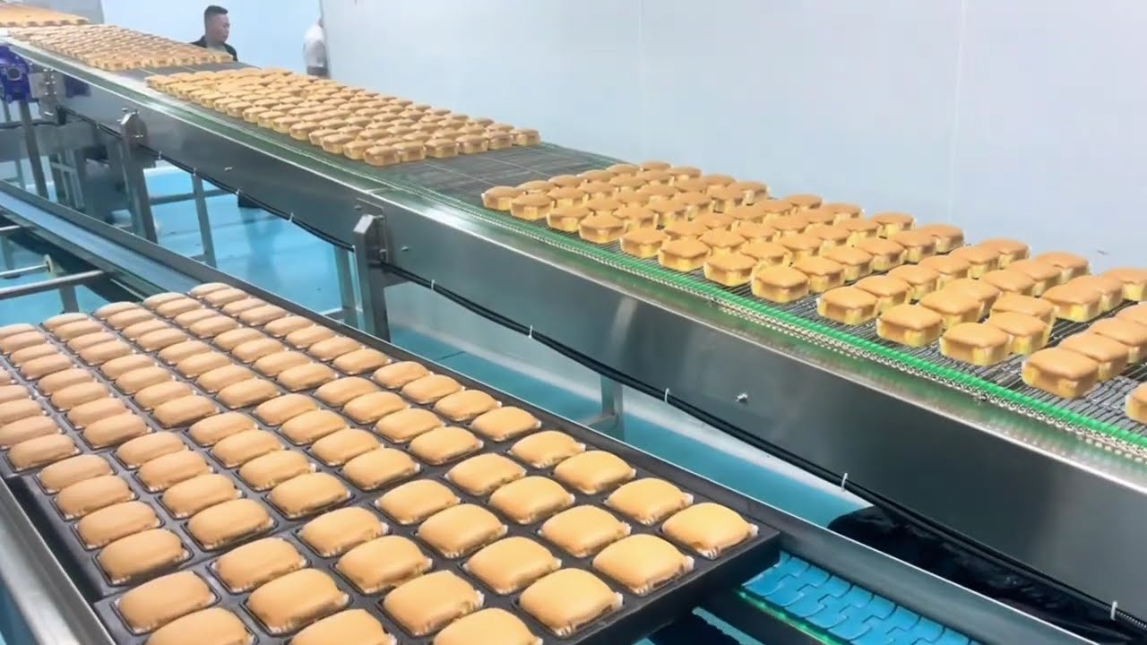 Haw Ding Cup Cake Fully Auto Production Line #cakefactory #bakeryequipment #bakerymachines