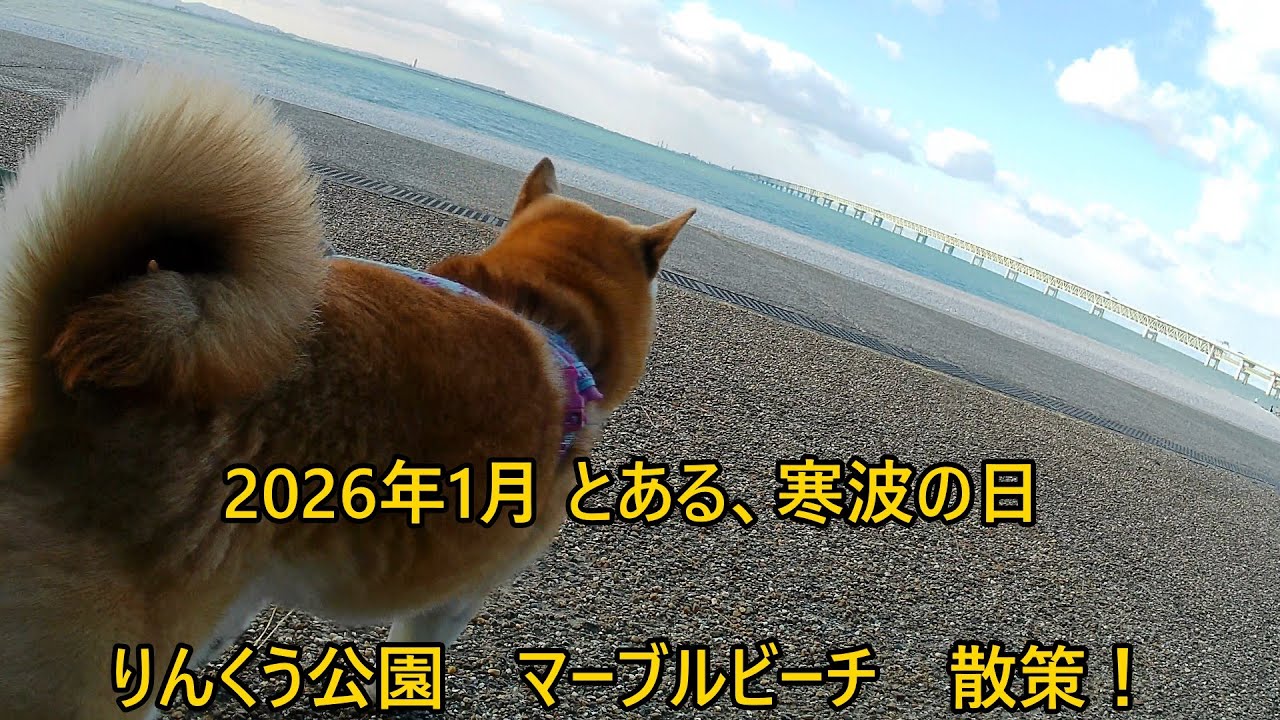 第003話 寒波の日、マーブルビーチ散策