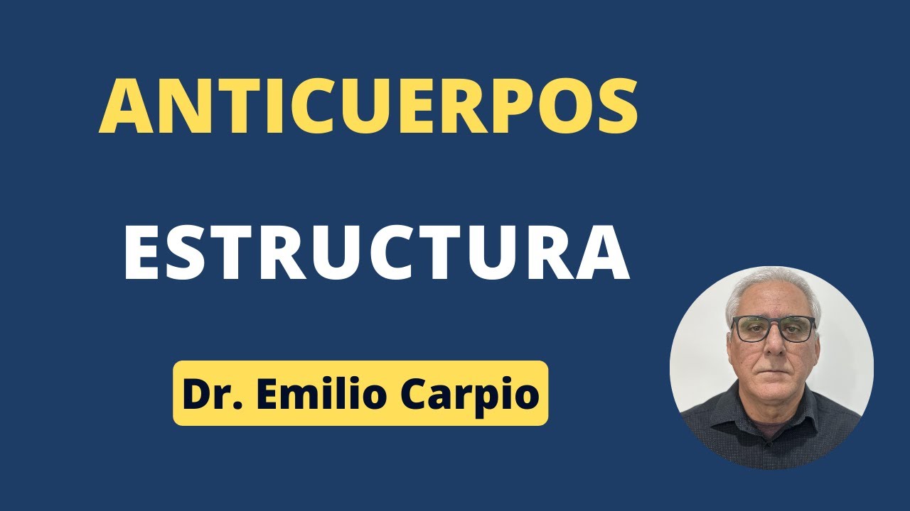 Anticuerpos: Estructura