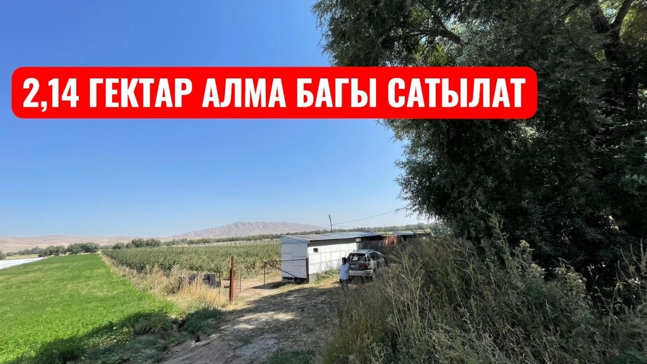 АЙДОО ЖЕР АЛМА БАГЫ САТЫЛАТ 2025