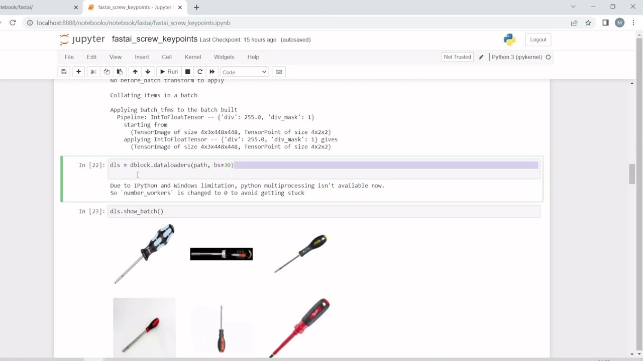 fastai keypoints training with custom data