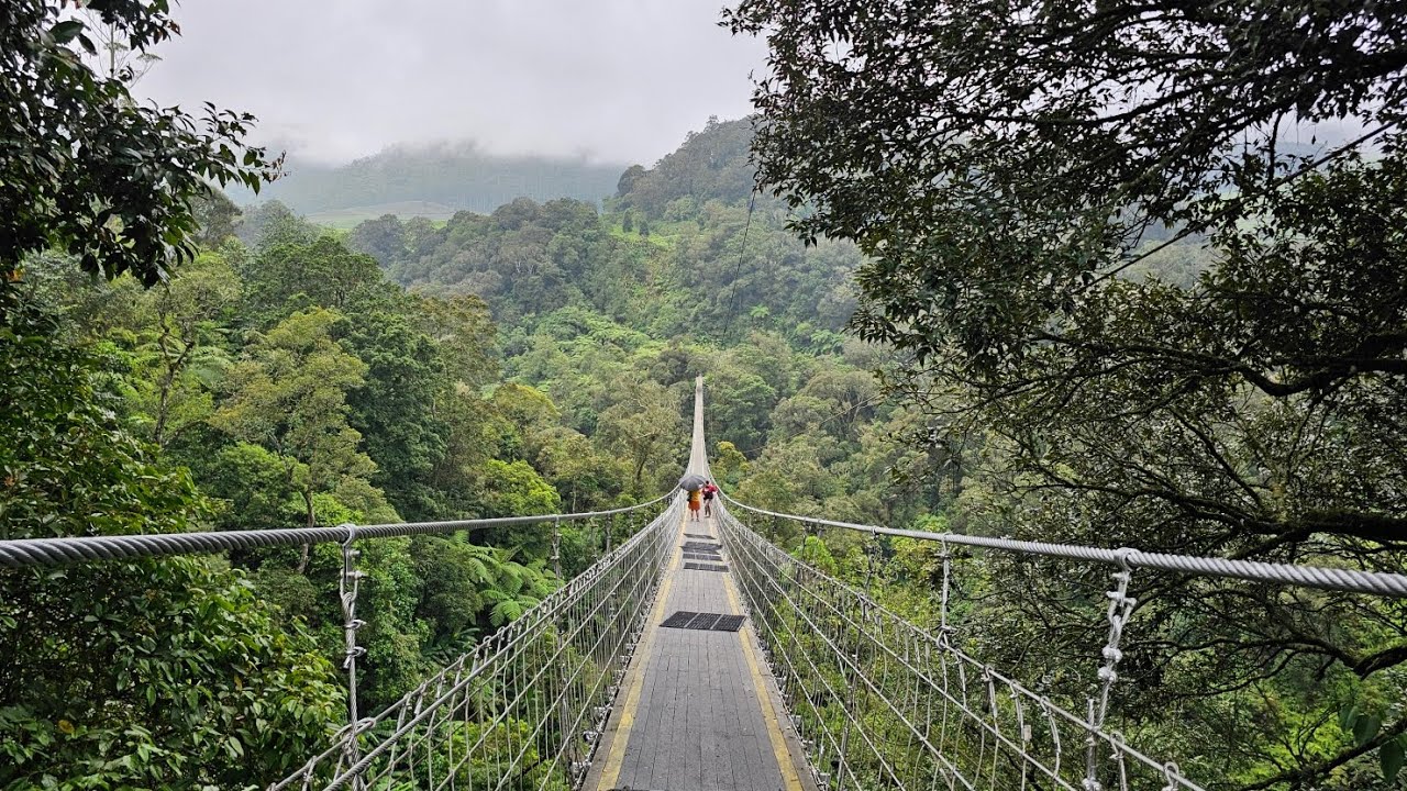 Review Tiket VIP Kawah Rengganis | Jembatan Gantung 250 meter | Rengganis Suspension Bridge