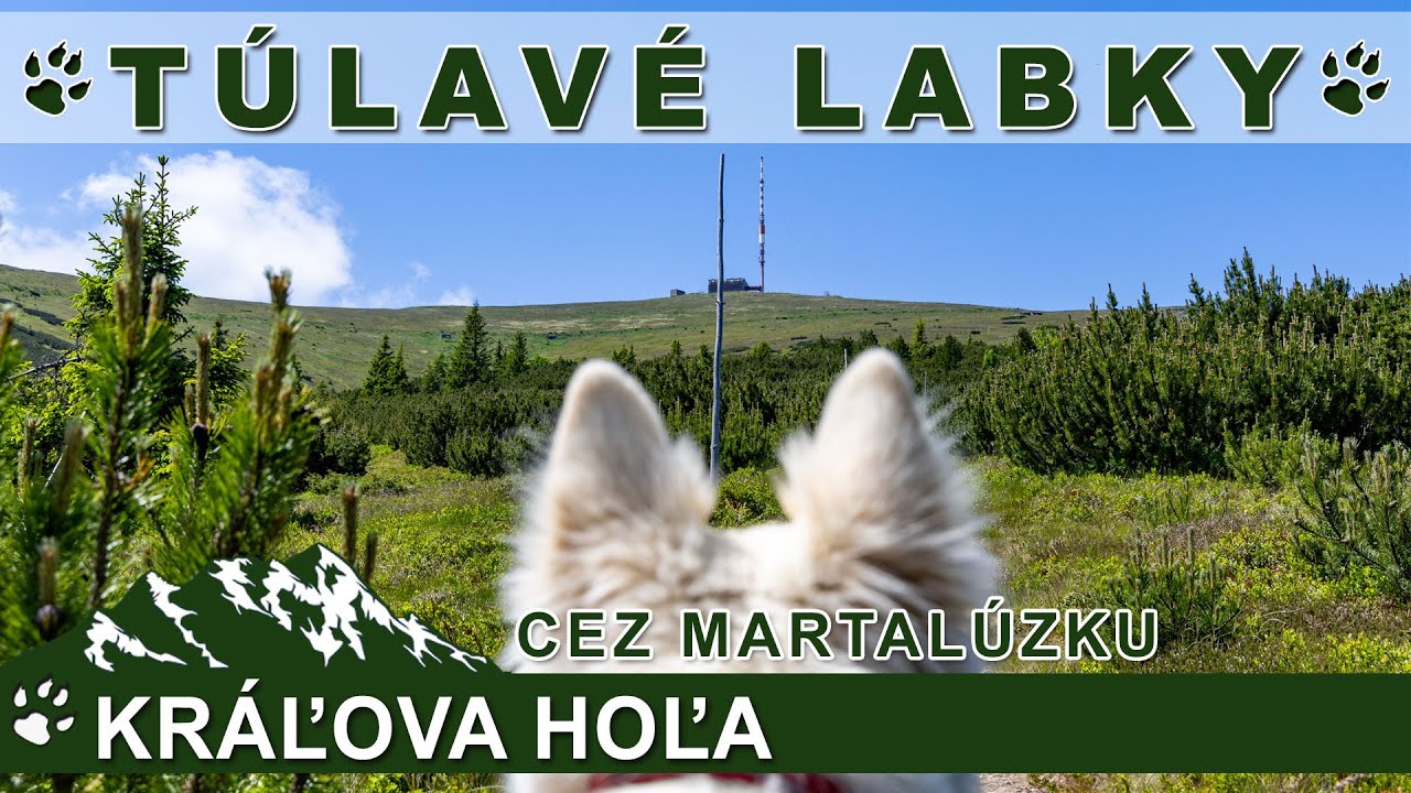 Túlavé labky: Kráľova hoľa cez Martalúzku (najkrajšia trasa na vrchol)