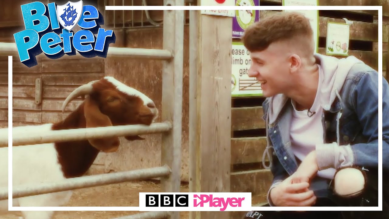 Adam Beales talks to Animals! | Blue Peter