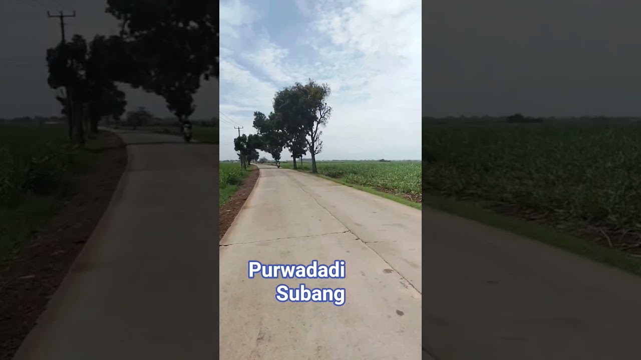 Jalan Menuju Purwadadi Subang ❗❗❗