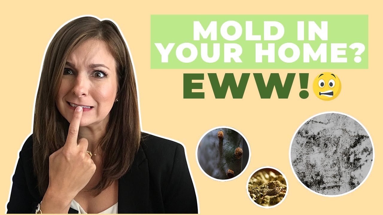 KeyPoint Homes by Sarah: How to prevent mold and moisture in your home
