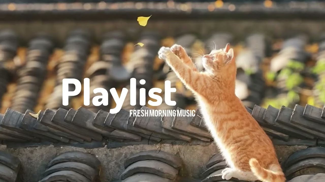 Playlist to Start Your Day 🎧 | Hope you enjoy!