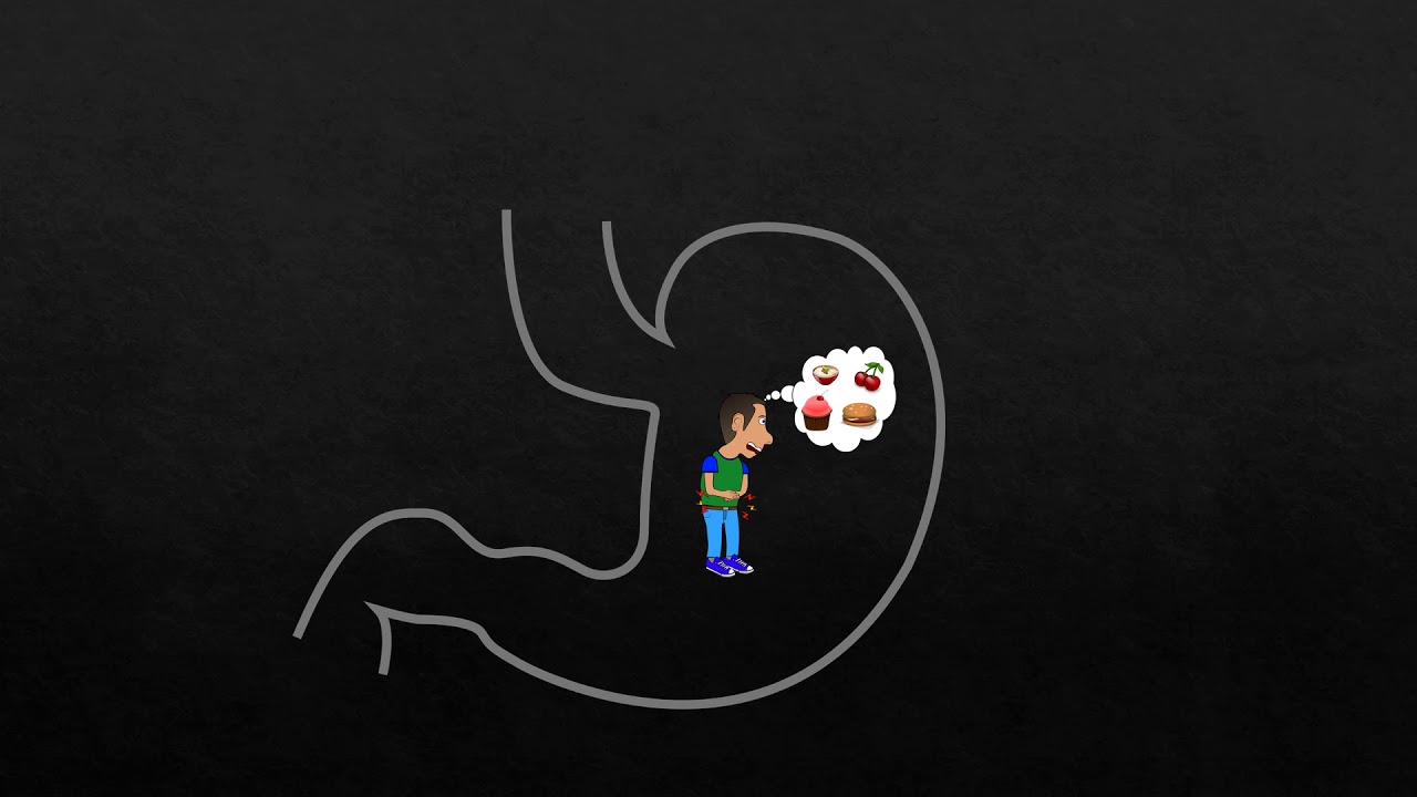 Hunger und S&auml;ttigung