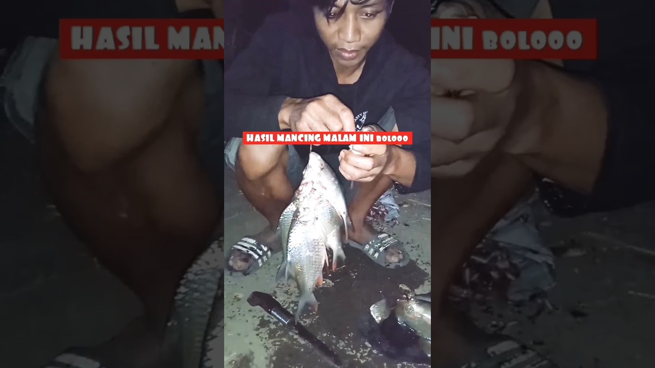 HASIL MANCING MALAM INI IKAN TAWES 