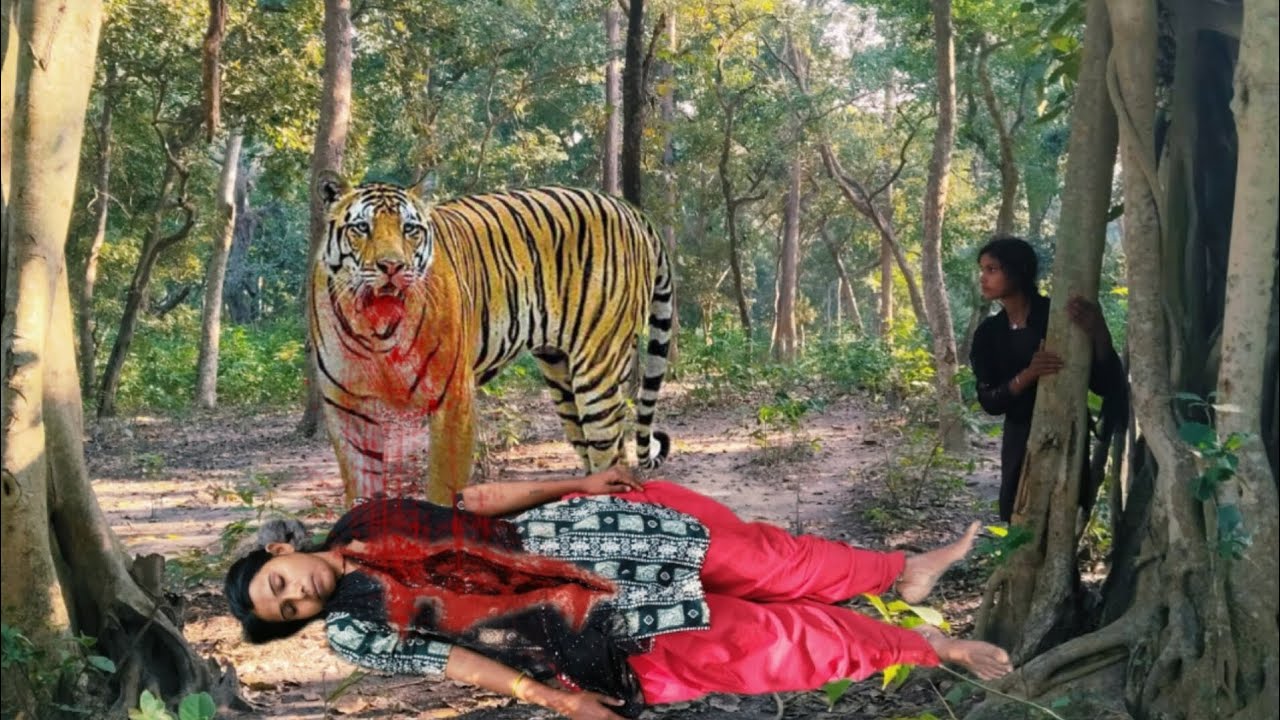जंगल में बाघ ने किया हमला | Tiger attacked in the jungle | Tiger attack Girl In The Forest