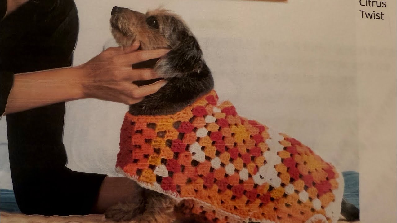 Crochet Granny Square Dog Sweater | Beginner Friendly 🧶🐾