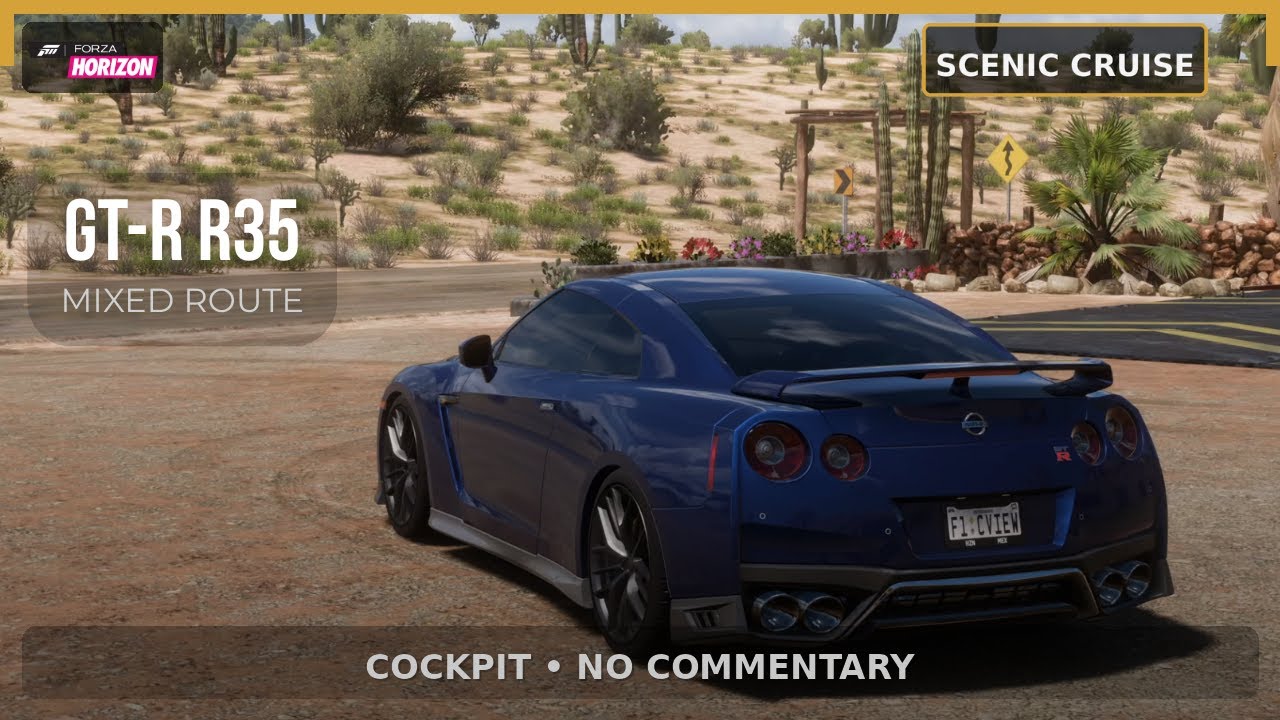 FH5 Nissan GT-R (R35) Cruise: Night to Day Scenic Run (Cockpit View • No Commentary)