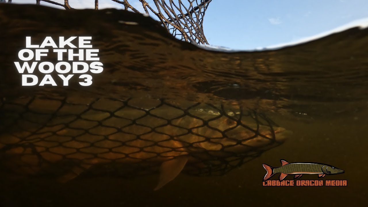 Post Frontal Muskies Eat Beaver Baits - Lake Of The Woods Day 3