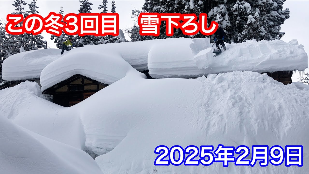 固定撮影《等倍速》豪雪地新潟雪十日町市大池　倉庫（元民家）の雪下ろし（この冬3回目）　2025年2月9日 #snowremoval